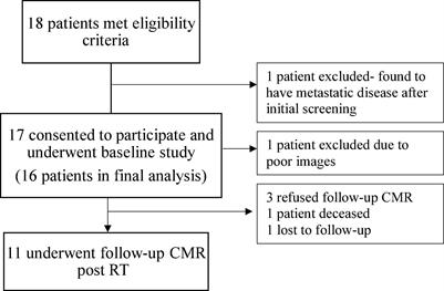 Cardiovascular Magnetic Resonance in Early Detection of Radiation Associated Cardiotoxicity With Chest Radiation